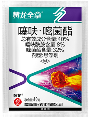 狠狠亚洲超碰狼人久久
