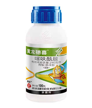 狠狠亚洲超碰狼人久久