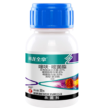 狠狠亚洲超碰狼人久久