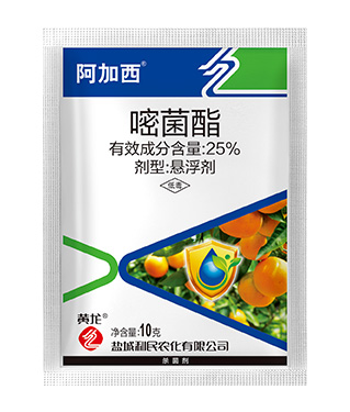 狠狠亚洲超碰狼人久久